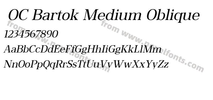  OC Bartok Medium ObliquePreview