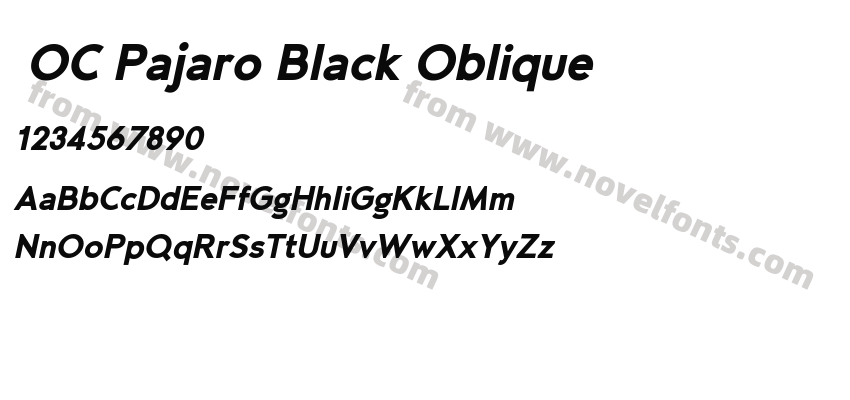  OC Pajaro Black ObliquePreview
