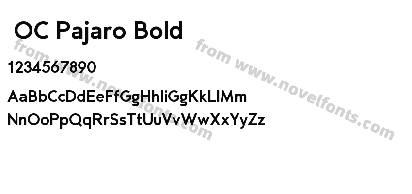  OC Pajaro BoldPreview