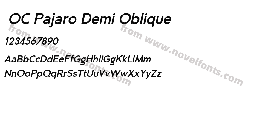  OC Pajaro Demi ObliquePreview