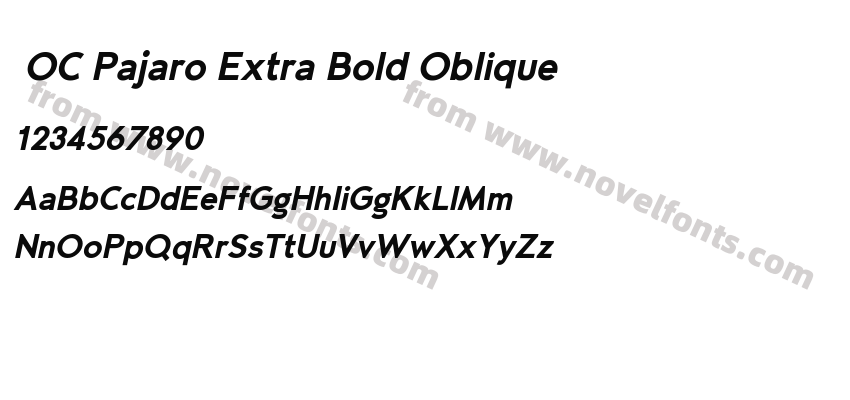  OC Pajaro Extra Bold ObliquePreview