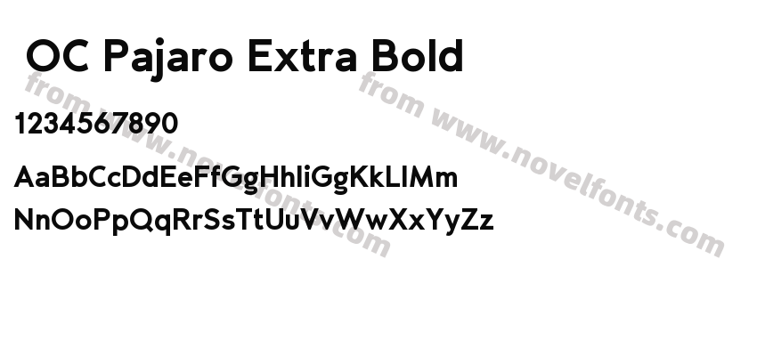  OC Pajaro Extra BoldPreview