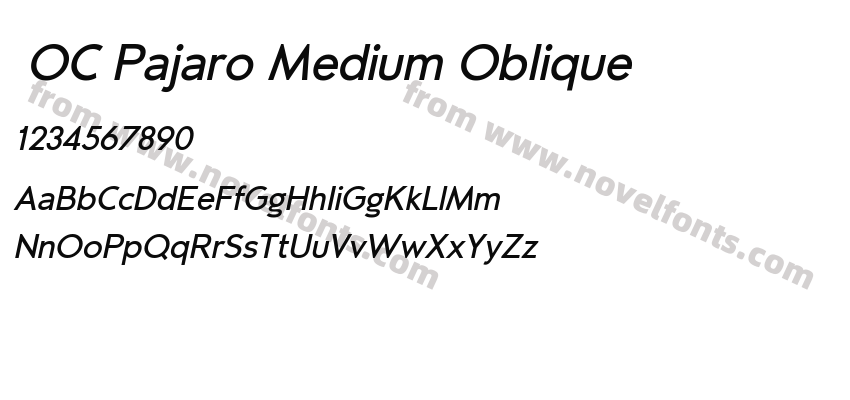  OC Pajaro Medium ObliquePreview