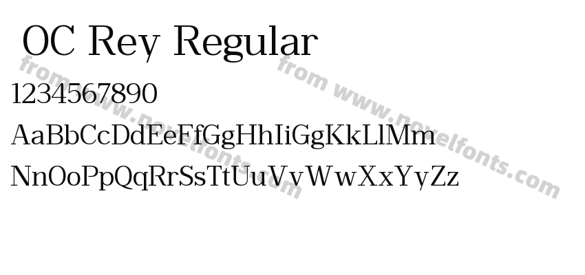  OC Rey RegularPreview