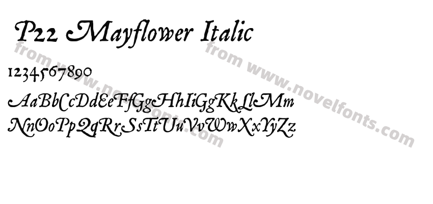  P22 Mayflower ItalicPreview