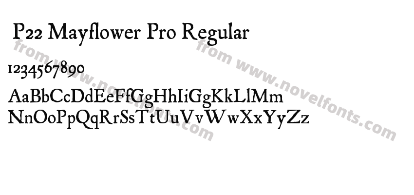  P22 Mayflower Pro RegularPreview