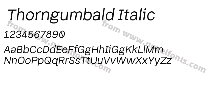  Thorngumbald ItalicPreview