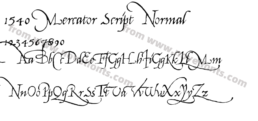 1540 Mercator Script NormalPreview