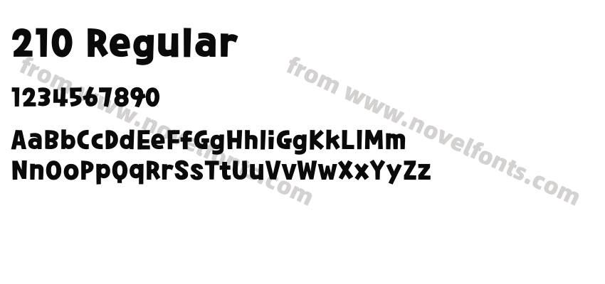 210 RegularPreview