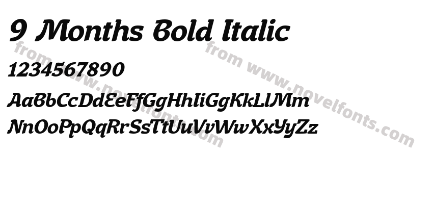 9 Months Bold ItalicPreview