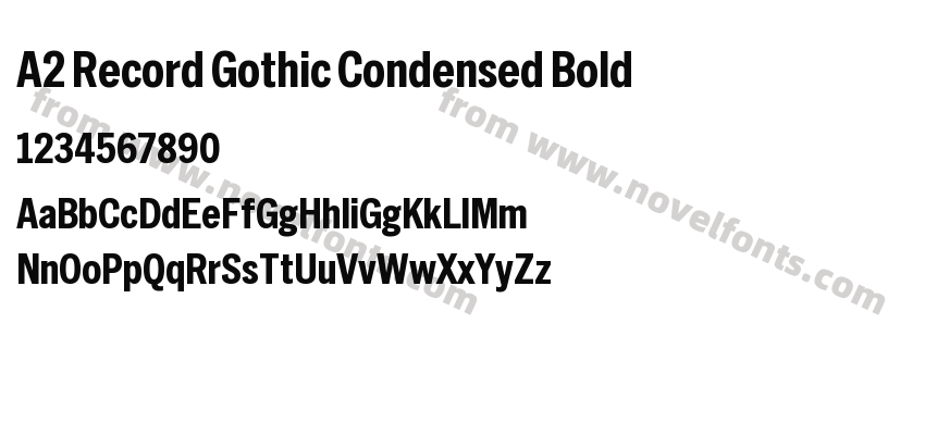 A2 Record Gothic Condensed BoldPreview