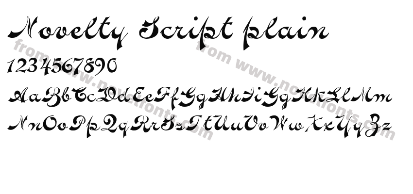 Novelty Script plainPreview