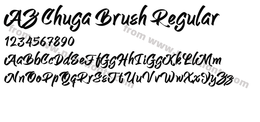 AZ Chuga Brush RegularPreview