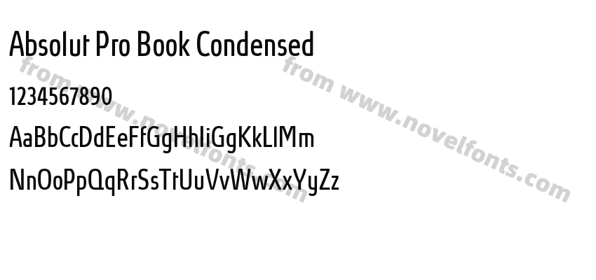 Absolut Pro Book CondensedPreview
