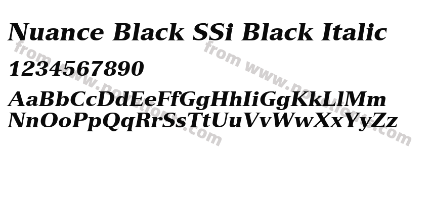 Nuance Black SSi Black ItalicPreview