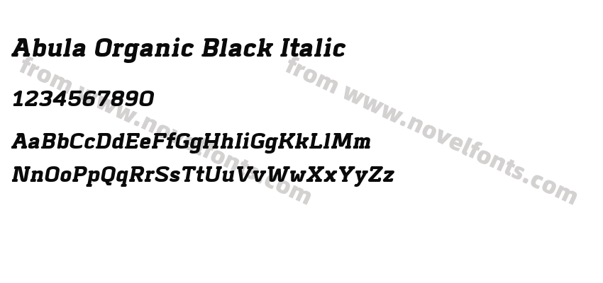 Abula Organic Black ItalicPreview