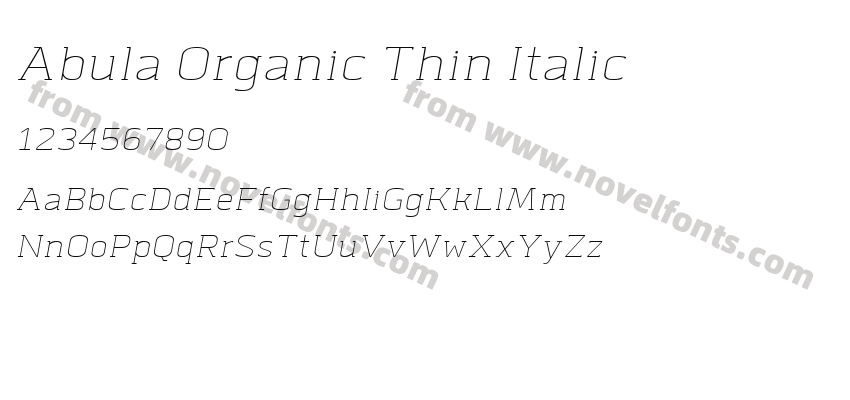 Abula Organic Thin ItalicPreview