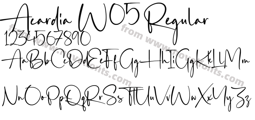 Acardia W05 RegularPreview