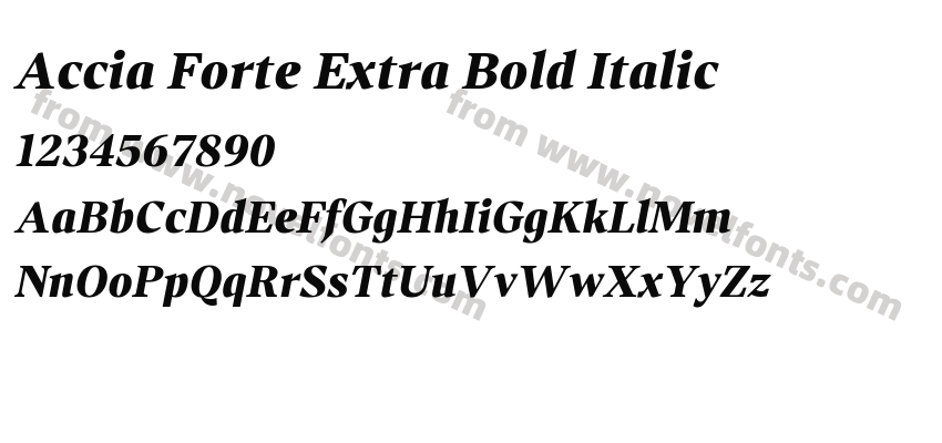 Accia Forte Extra Bold ItalicPreview