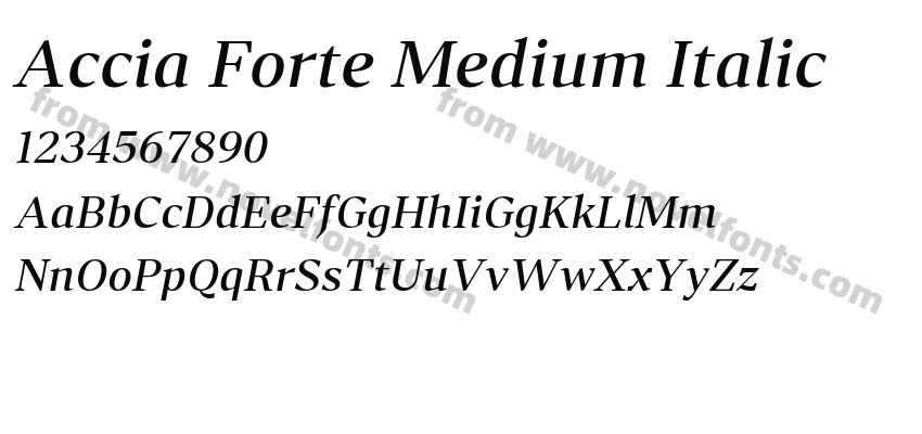 Accia Forte Medium ItalicPreview
