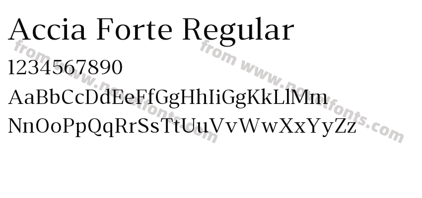 Accia Forte RegularPreview