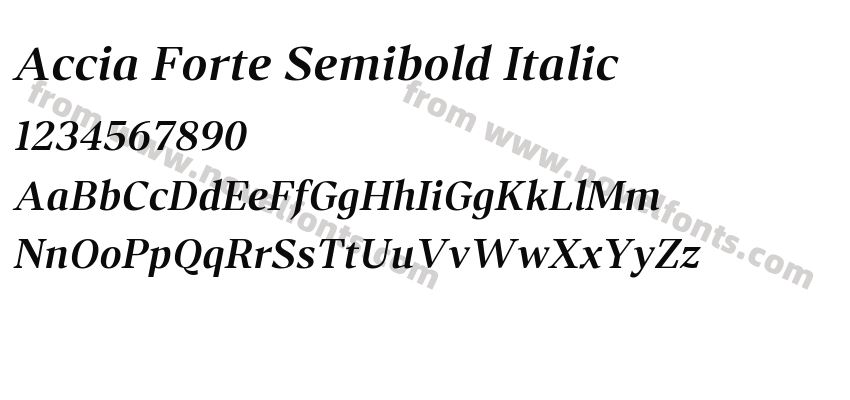 Accia Forte Semibold ItalicPreview