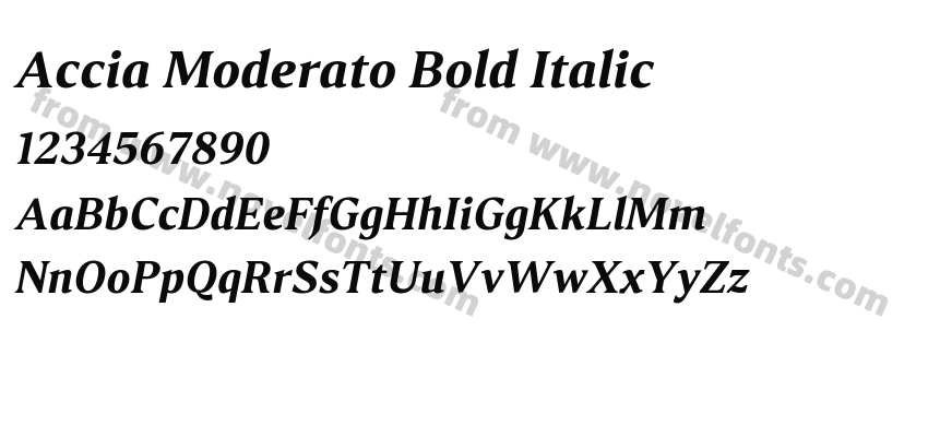 Accia Moderato Bold ItalicPreview