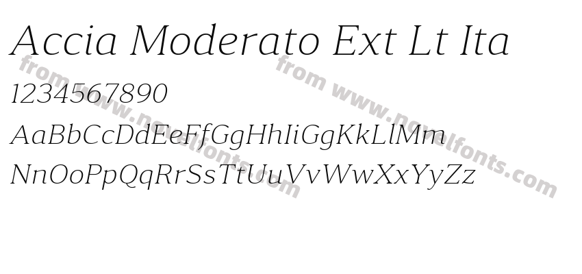 Accia Moderato Ext Lt ItaPreview