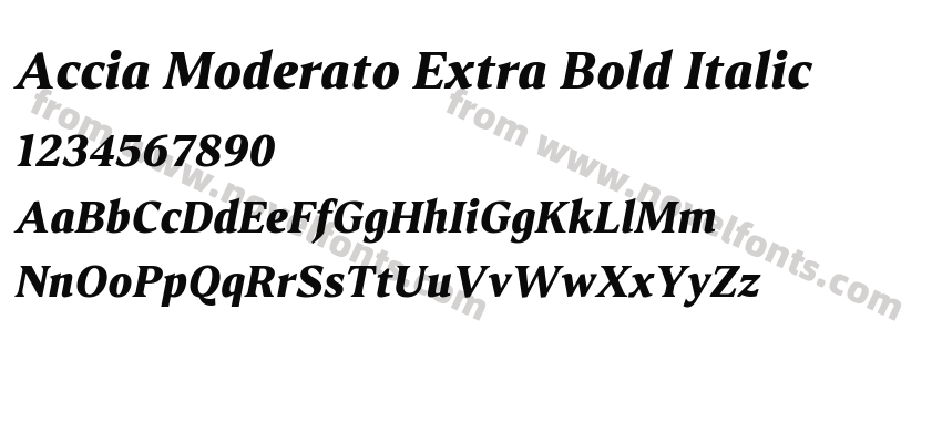 Accia Moderato Extra Bold ItalicPreview