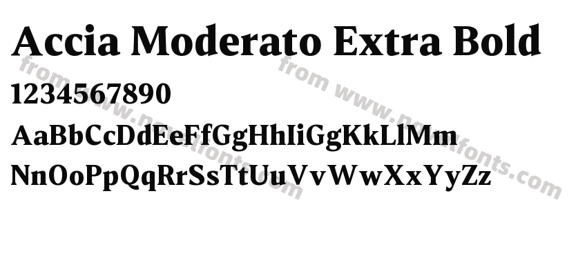 Accia Moderato Extra BoldPreview