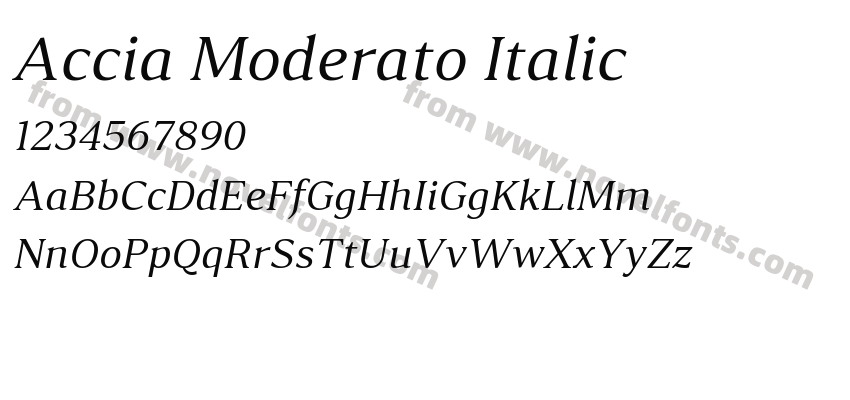 Accia Moderato ItalicPreview