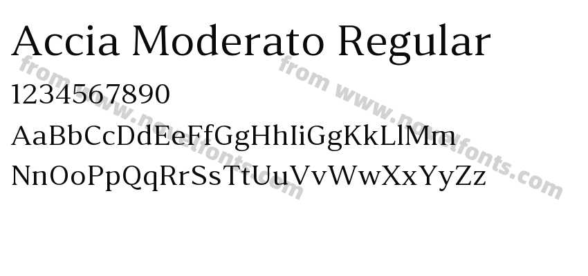 Accia Moderato RegularPreview