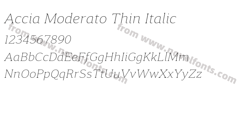 Accia Moderato Thin ItalicPreview