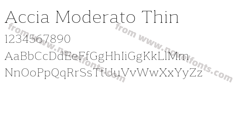 Accia Moderato ThinPreview