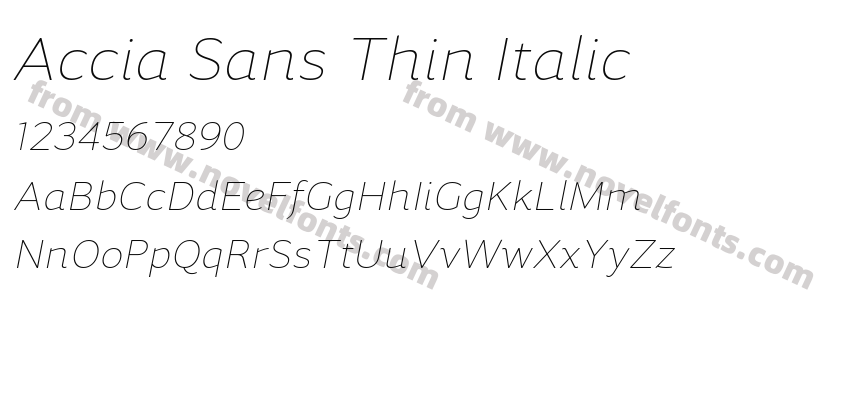 Accia Sans Thin ItalicPreview