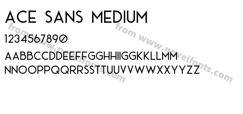 Ace Sans MediumPreview