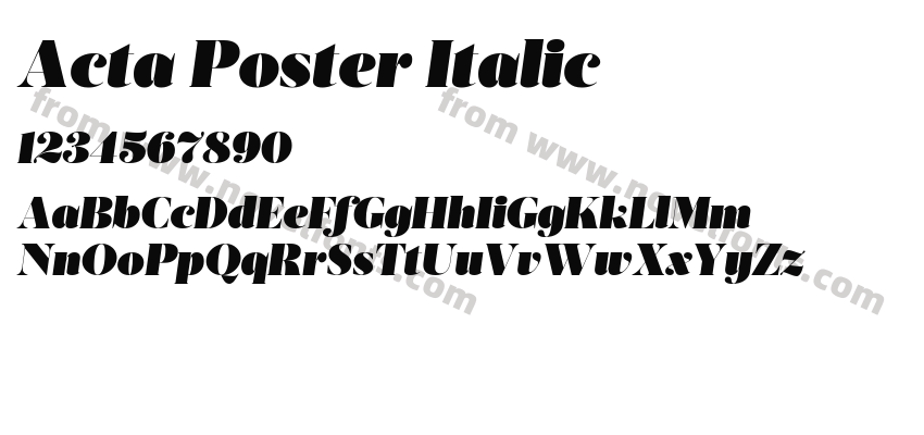 Acta Poster ItalicPreview