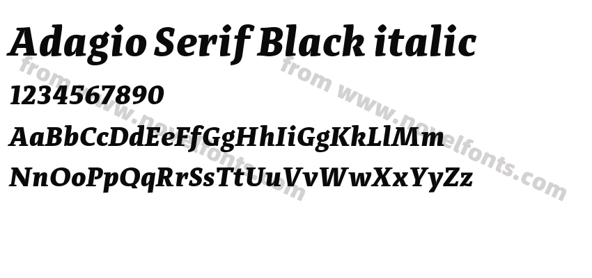 Adagio Serif Black italicPreview