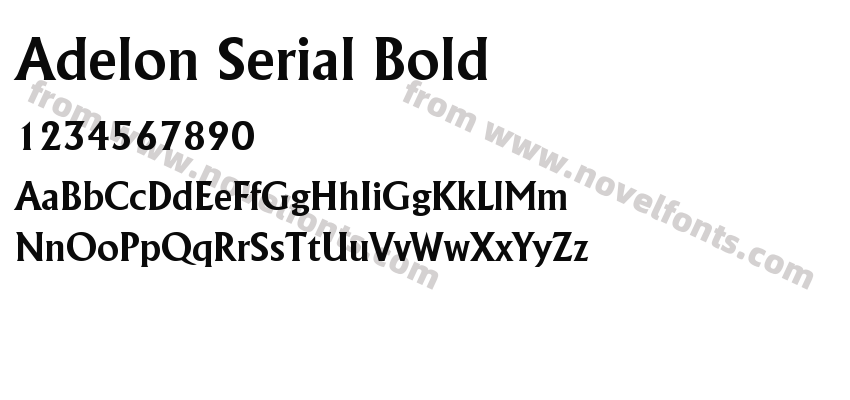 Adelon Serial BoldPreview