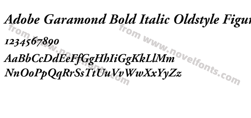 Adobe Garamond Bold Italic Oldstyle FiguresPreview
