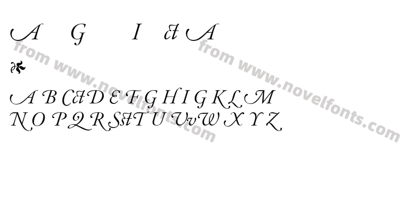 Adobe Garamond Italic AlternatePreview