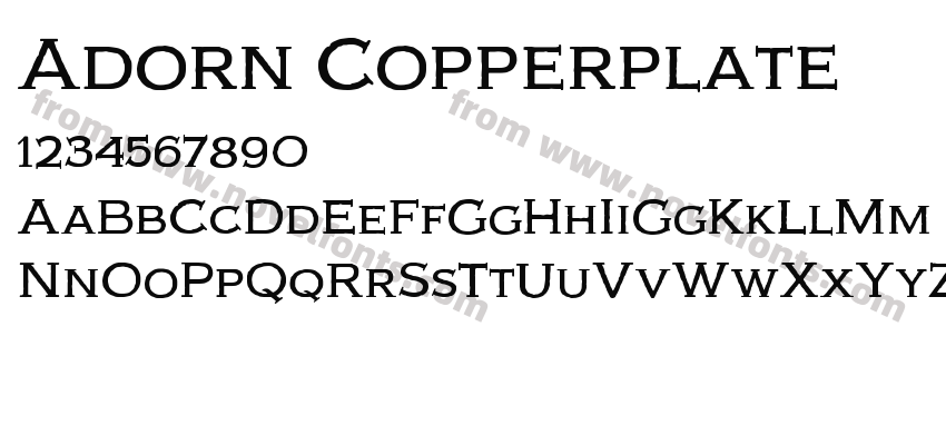 Adorn CopperplatePreview