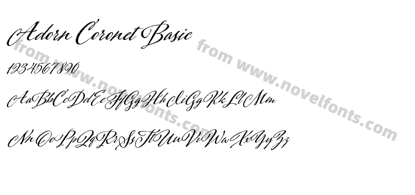 Adorn Coronet BasicPreview