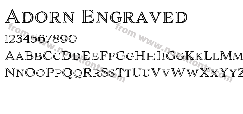 Adorn EngravedPreview