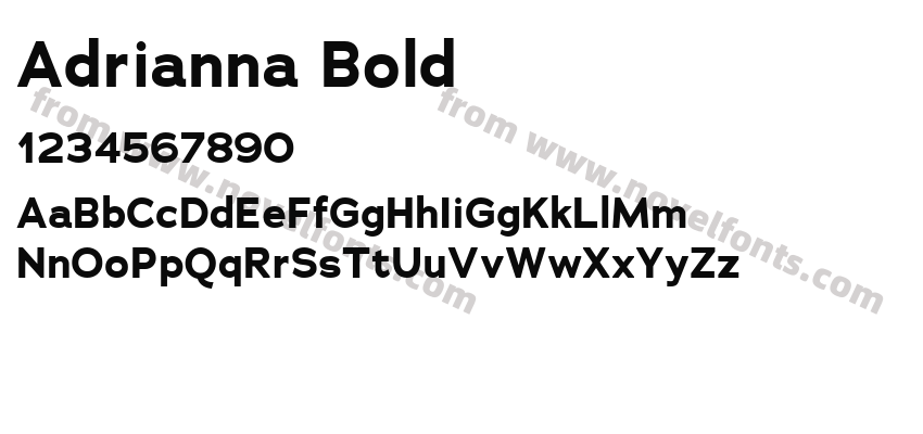 Adrianna BoldPreview