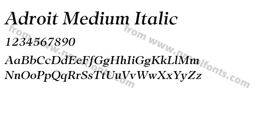 Adroit Medium ItalicPreview