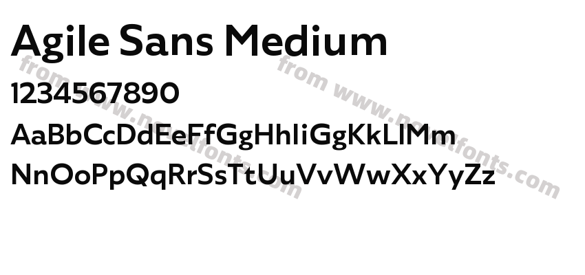 Agile Sans MediumPreview