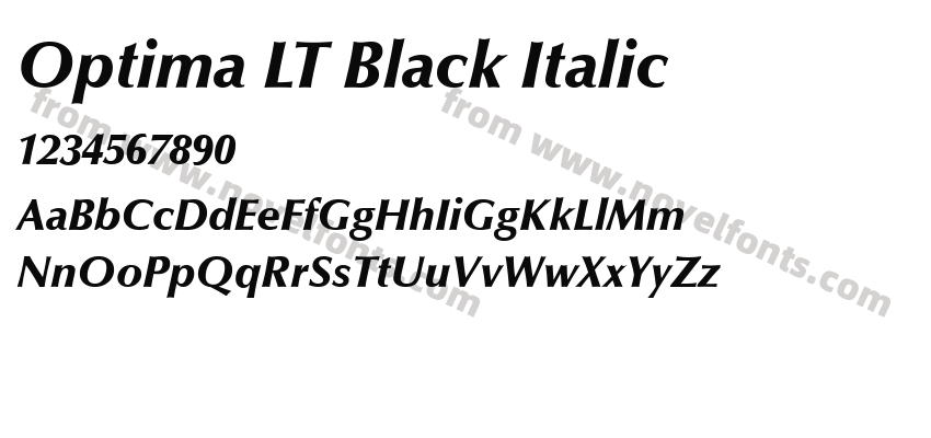 Optima LT Black ItalicPreview