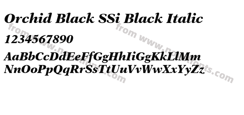 Orchid Black SSi Black ItalicPreview