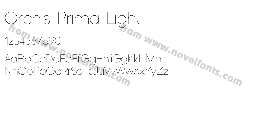 Orchis Prima LightPreview